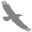 Custom icon